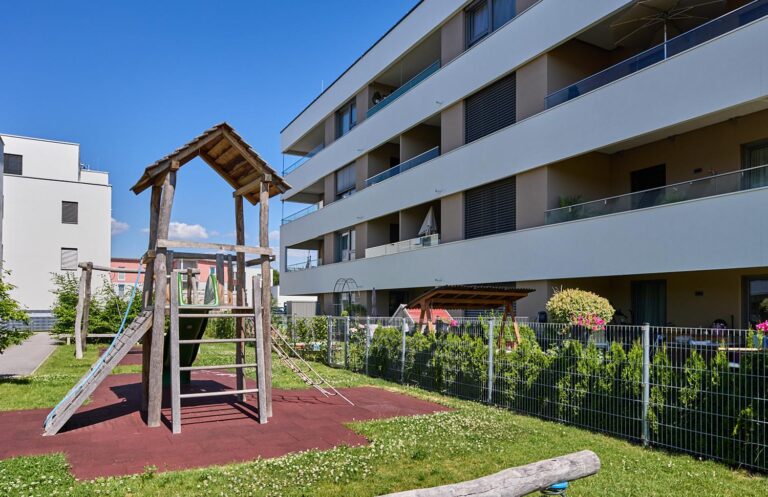 gallineo gallineo